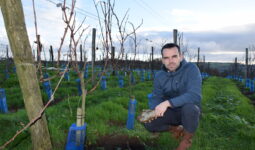 Le vigneron Julien Lefèvre au cœur de son vignoble, à Merléac, dans les Côtes-d'Armor.