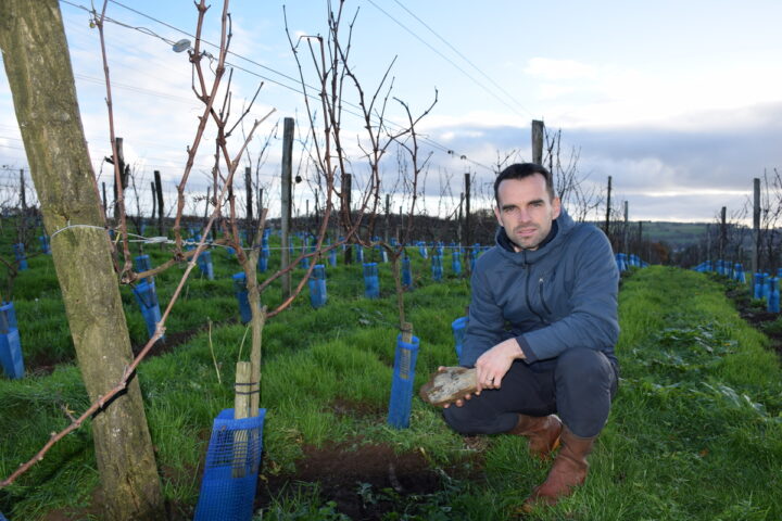 Le vigneron Julien Lefèvre au cœur de son vignoble, à Merléac, dans les Côtes-d'Armor.