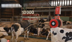 Le 10 000ème robot de traite Lely