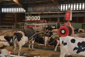 Le 10 000ème robot de traite Lely