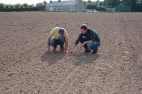 Deux hommes grattent la terre après un semis de parcelle