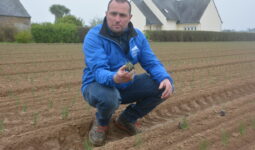 Cédric Le Velly avec un plant d'oignon dans la main