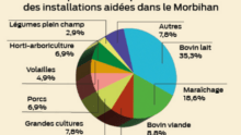 Diagramme de la répartition des productions aidées dans le Morbihan