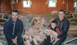 Un couple et leur fils dans une maternité porcine au milieu des truies et des porcelets