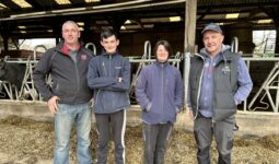 éleveurs devant stabulation