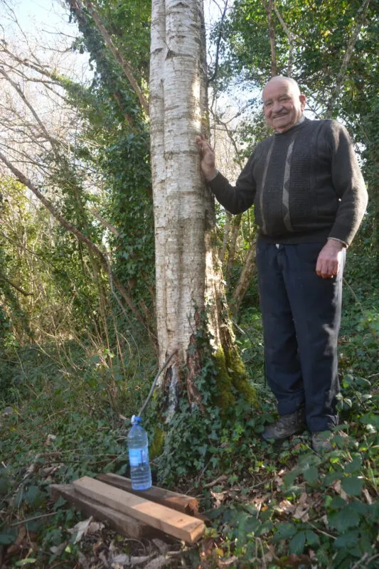 Les arbres ne manquent pas autour de chez Jean.