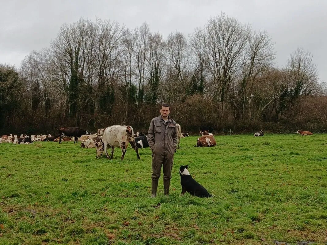 Le troupeau coloré et diversifié de Yann Le Merdy.