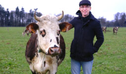 Jonathan Sablé avec Saturne, la vache mascotte de son troupeau