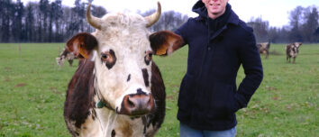 Jonathan Sablé avec Saturne, la vache mascotte de son troupeau