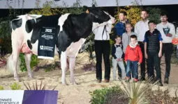 Pastèque, Championne vache Prim'Holstein, sur le podium du concours de Rennes 2025