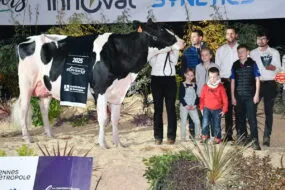 Pastèque, Championne vache Prim'Holstein, sur le podium du concours de Rennes 2025