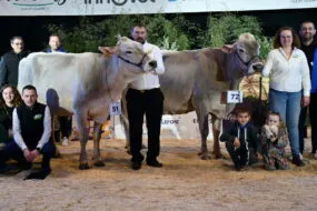 LBB Lalice , Championne vache Brune Ouest et sa réserve Sublime ID, sur le podium du concours de Rennes 2025