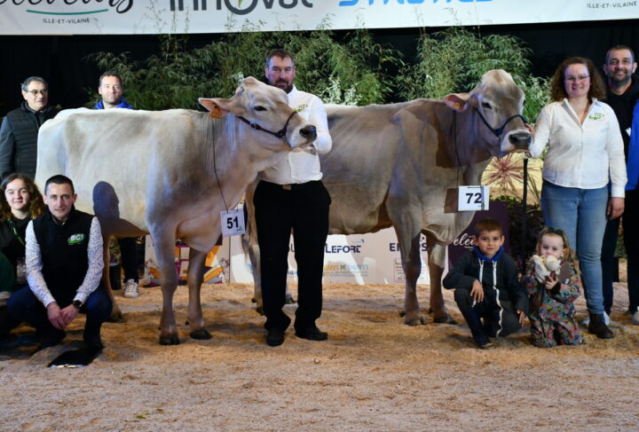 LBB Lalice , Championne vache Brune Ouest et sa réserve Sublime ID, sur le podium du concours de Rennes 2025
