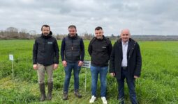 Quatre hommes devant une parcelle d'herbe
