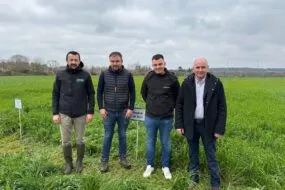 Quatre hommes devant une parcelle d'herbe