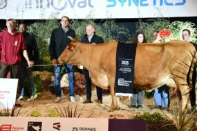 Mandarine, Championne vache Froment du Léon, sur le podium du concours de Rennes 2025
