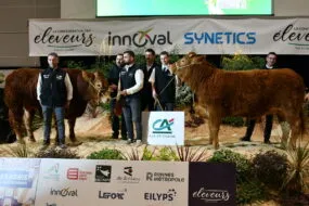 gagnants du concours limousins sur le podium de Rennes 2025