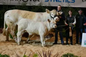 Popie, champion du concours Charolais et les éleveurs sur le podium de Rennes 2025