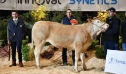 Ufer,, gagnante du concours Blonde d'Aquitaine, sur le podium de Rennes 2025