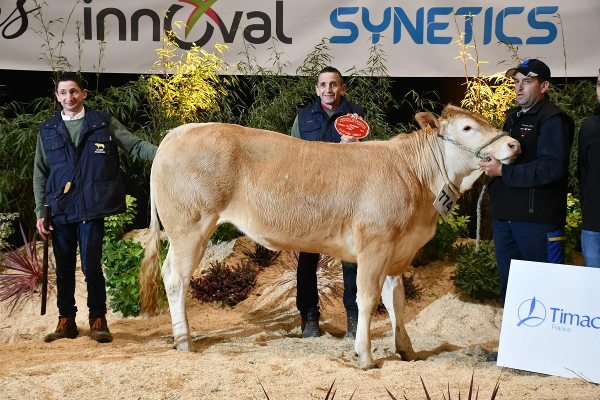 Ufer,, gagnante du concours Blonde d'Aquitaine, sur le podium de Rennes 2025 - Illustration La génisse Ufer l’emporte