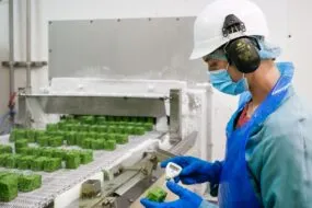 Un ouvrier sur une chaine dans une usine de transformation légumière