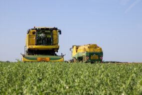 Des machines dans un champ pour la récolte de légume industrie