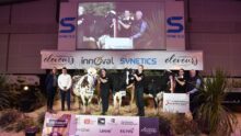 Jeunes présentateurs de bovins sur le podium de Rennes 2025