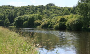 abords d'une rivière