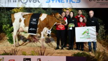 Rubis Rosie P, Championne en Pie Rouge, sur le podium de Rennes 2025