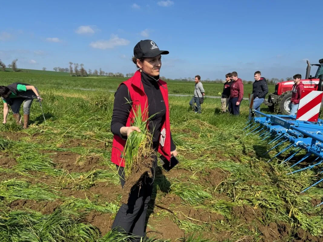 Sarah Choupault du Gab 22 constate le travail de « scalpage » de l'outil à dent Lemken.