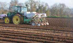 Planteuse de pomme de terre dans un champ