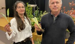 Clémentine Saliou et Jean-Michel Collet