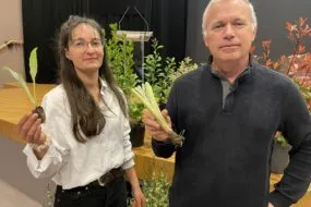 Clémentine Saliou et Jean-Michel Collet
