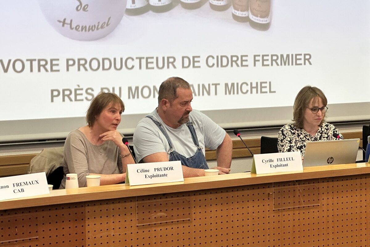 Céline Prudor et Cyrille Filleul - Illustration Bien s’entourer pour sortir la tête de l’eau