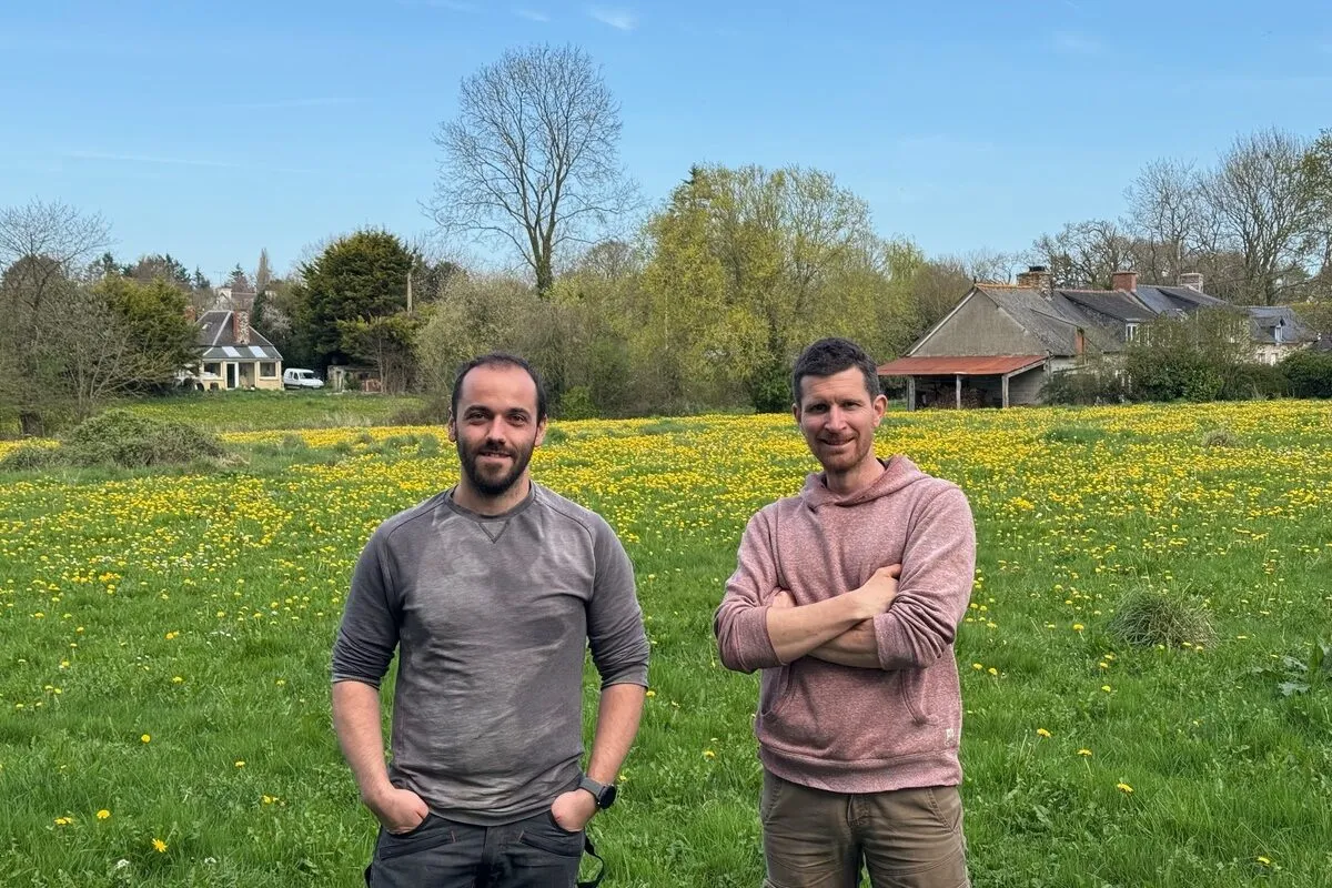 Deux hommes devant une prairie contenant des fleurs jaunes - Illustration Un vrai CDD pour l’été