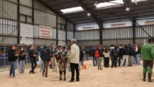 Les jeunes lors du concours de jugement du bétail à Rennes 2025