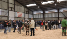 Les jeunes lors du concours de jugement du bétail à Rennes 2025