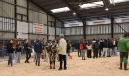 Les jeunes lors du concours de jugement du bétail à Rennes 2025