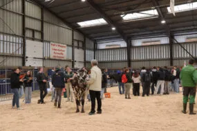 Les jeunes lors du concours de jugement du bétail à Rennes 2025