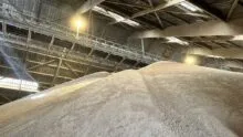 stockage de tourteau de soja à Montoir