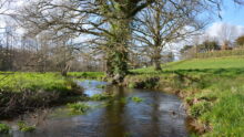 Ruisseau du Krann à Spézet