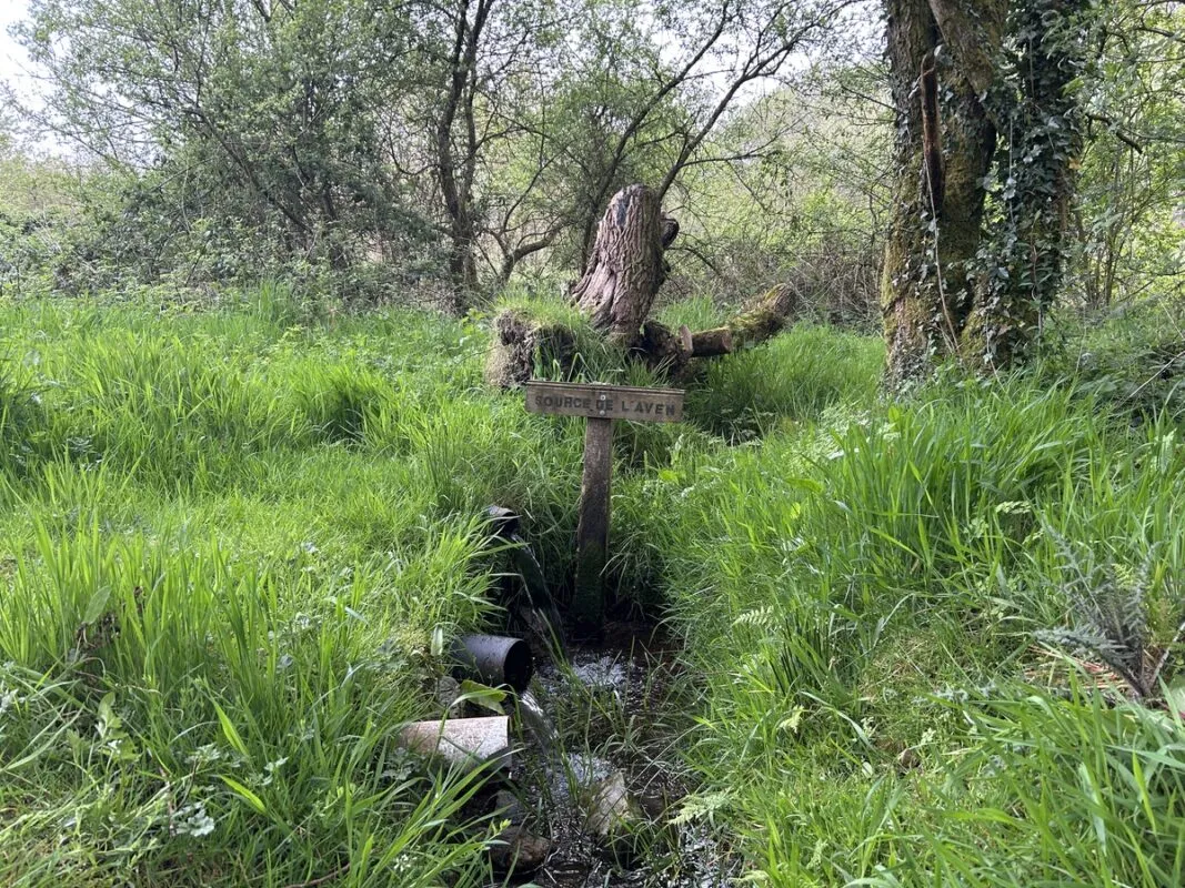 La tête de l’Aven
à Pen Aven à Coray.