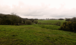 Un paysage de bocage