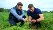 Deux personnes en train d'observer des plants dans un champ