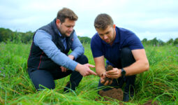 Deux personnes en train d'observer des plants dans un champ