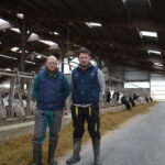 Jean-François et Sylvain Bréal dans leur stabulation avec des vaches