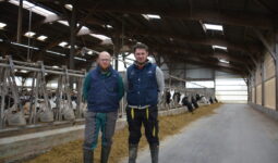 Jean-François et Sylvain Bréal dans leur stabulation avec des vaches