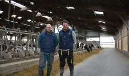 Jean-François et Sylvain Bréal dans leur stabulation avec des vaches