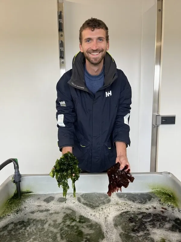 Pour pouvoir être commercialisées fraîches, les algues après récolte sont conservées vivantes dans des bassins alimentés par de l’eau de mer.