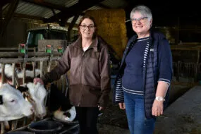 Une femme et un homme avec des vaches dans une stabulation